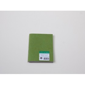 Carnet de poche vert