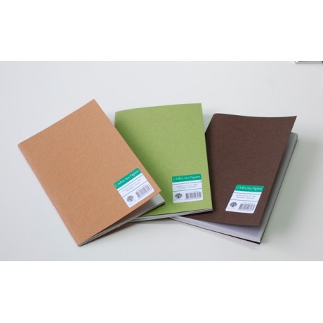 Lot de 3 carnets longs