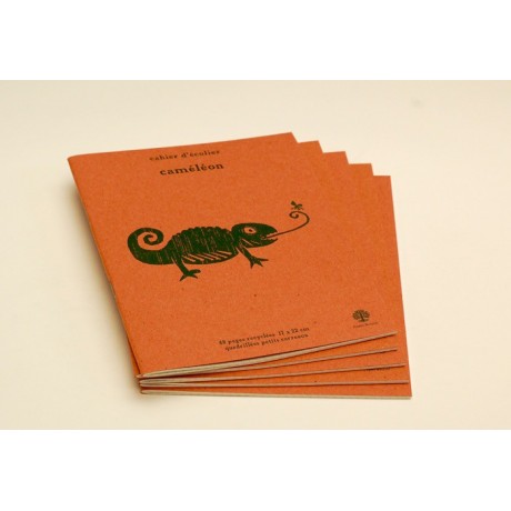 Petit cahier écolier - caméléon