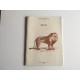 Grand cahier Lion